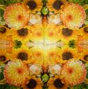 001 Flowers Others - 3 ply
